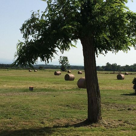 Location Gite 4 Personnes Mazeres - La Petite Maison ภายนอก รูปภาพ