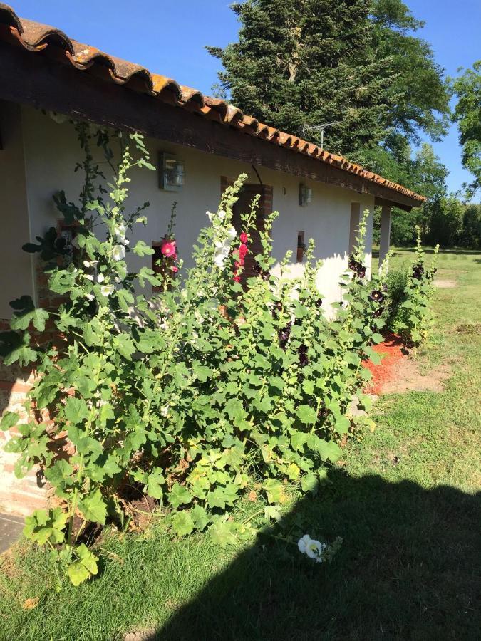 Location Gite 4 Personnes Mazeres - La Petite Maison ภายนอก รูปภาพ